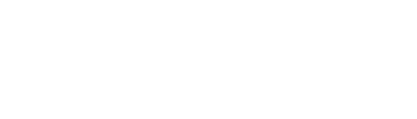 기업비전